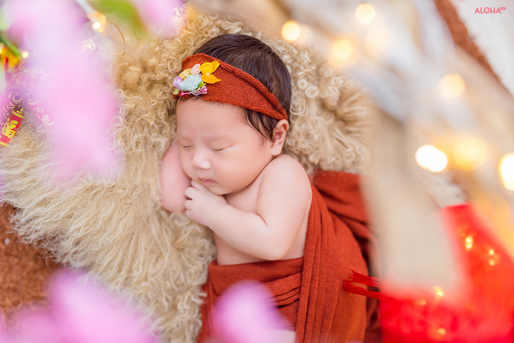 album ảnh newborn 14